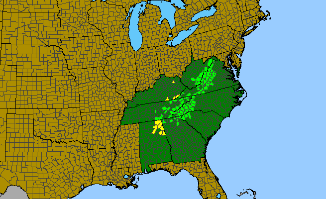 The range of Melanthium parviflorum